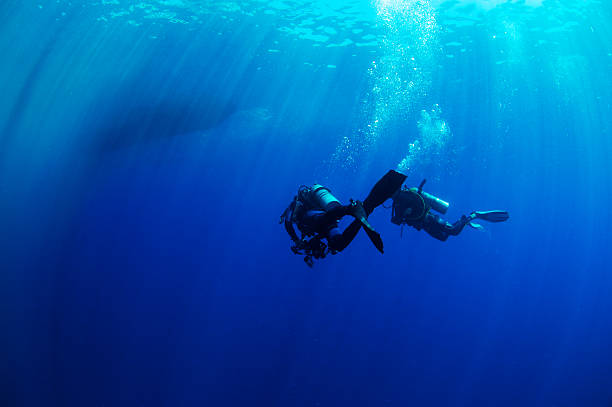 istock Two divers heading back to the boat 185607060