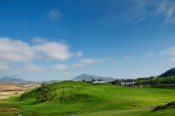 crofts e highlands - republic of ireland irish culture cottage door foto e immagini stock