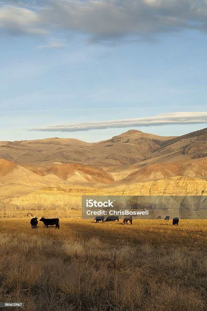 L'élevage de bétail animaux de la ferme Western Ranch Mountain Lanscape - Photo de Agriculture libre de droits