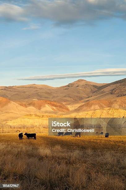 Photo libre de droit de Lélevage De Bétail Animaux De La Ferme Western Ranch Mountain Lanscape banque d'images et plus d'images libres de droit de Agriculture