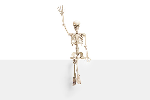 Human skeleton sitting on a blank panel and waving isolated on white background