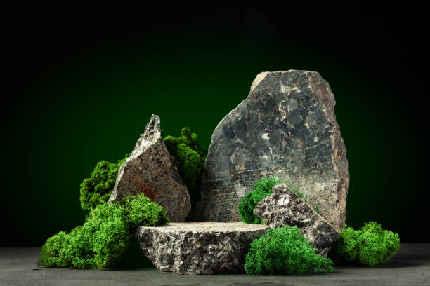Granite stones with moss studio shot close up
