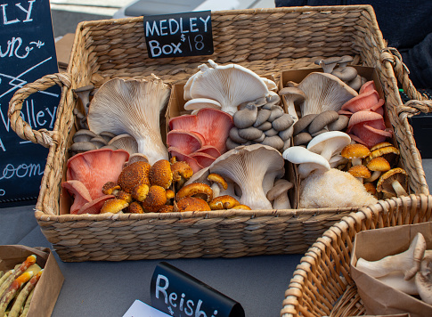 A box of beautiful organic edible mushrooms