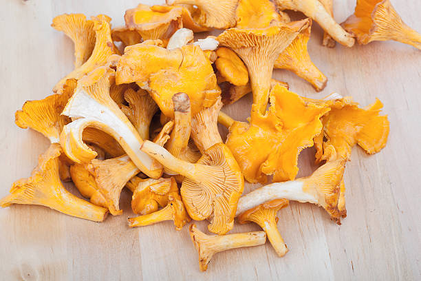 istock Chanterelles on wooden board 185617625