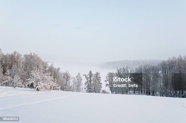 Photo libre de droit de Paysage Dhiver Avec Beaucoup De Temps Froid banque d'images et plus d'images libres de droit de Arbre - Arbre, Blanc, Brouillard