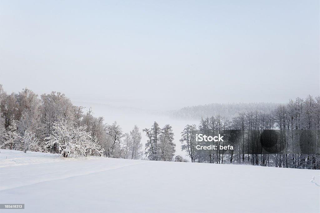 Paisagem de Inverno muito frio - Royalty-free Ao Ar Livre Foto de stock