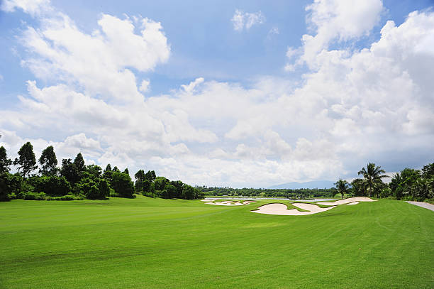 campo da golf - golf landscape golf course tree foto e immagini stock