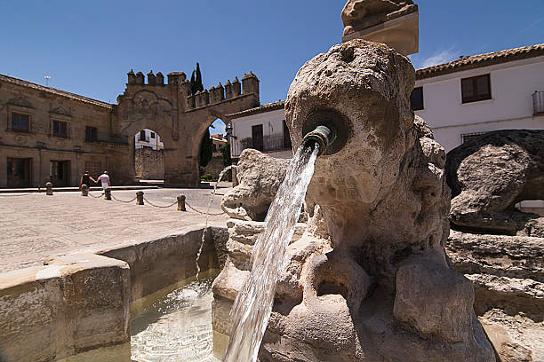 istock Fountain the lions in Plaza de Populo 185621882