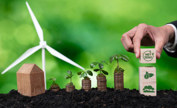 istock Businessman holding ESG symbol with seedling on coin stack. Alter 1856229250