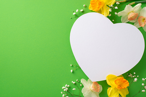Welcome spring with the elegance of fresh daffodils and gypsophila. From above, admire beautiful flower branches on a green isolated backdrop with heart-shaped frame ready for text or advertising