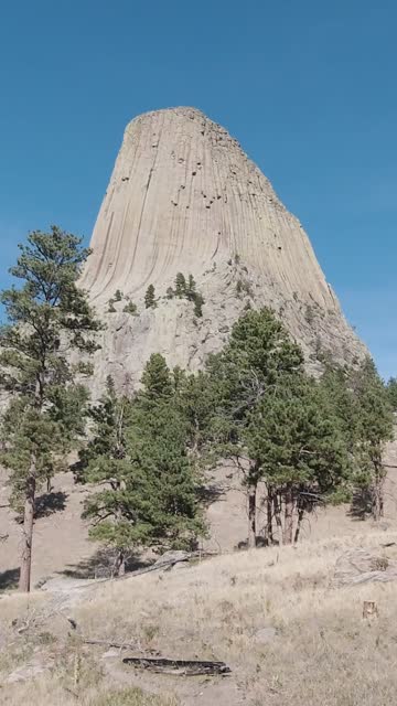 Devils Tower Butte in Summer. Wyoming, USA. Vertical Video