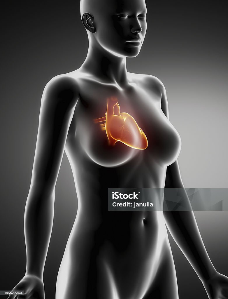 Femmina una radiografia in proiezione laterale di anatomia cuore - Foto stock royalty-free di Adulto