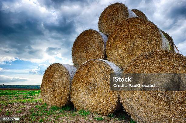 Pila Di Paglia Bales - Fotografie stock e altre immagini di Agricoltura - Agricoltura, Ambientazione esterna, Autunno