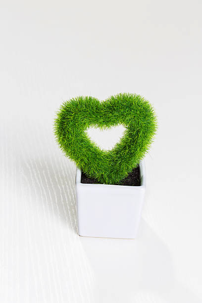 istock heart-shaped plant 185632650