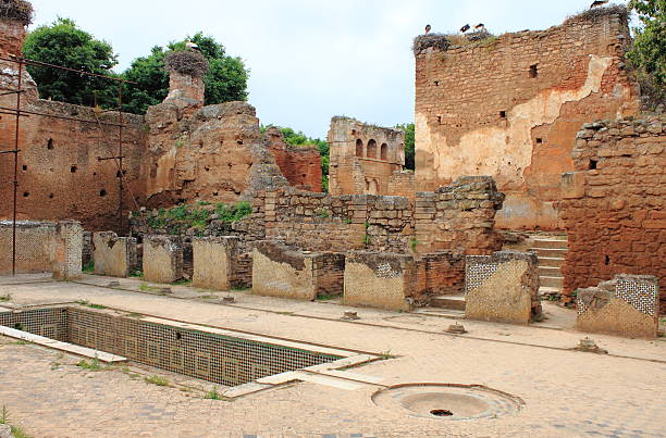 Ancient ruins in Necropolis of Cellah Ancient ruins in the Necropolis of Cellah in Rabat, Morocco sala colonia stock pictures, royalty-free photos & images