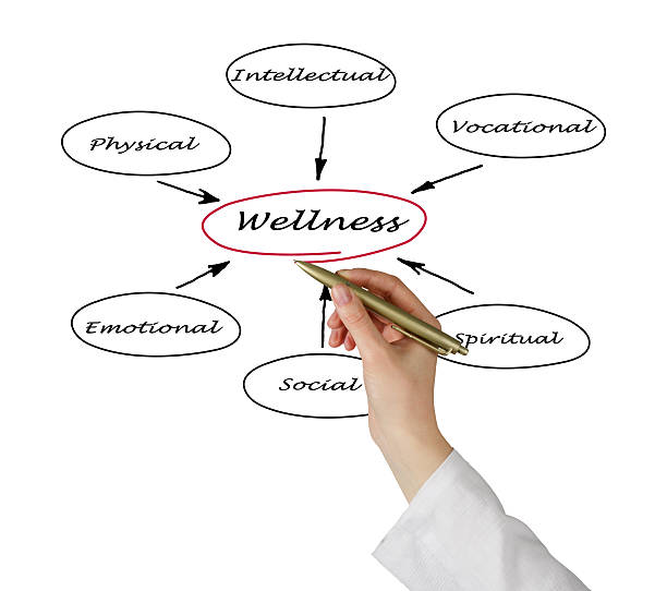 istock Diagram of wellness 185637258