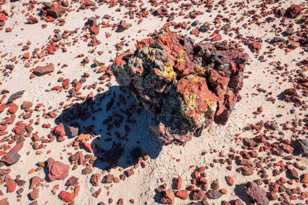 Petrified Forest National Park, Arizona
