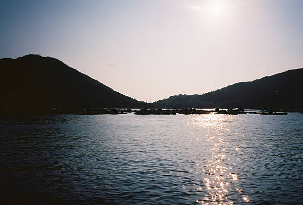 istock Lamma Island, Hong Kong 185637898