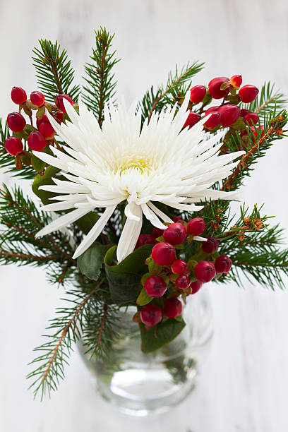 decorazione natalizia - flower arrangement flower bouquet arrangement foto e immagini stock