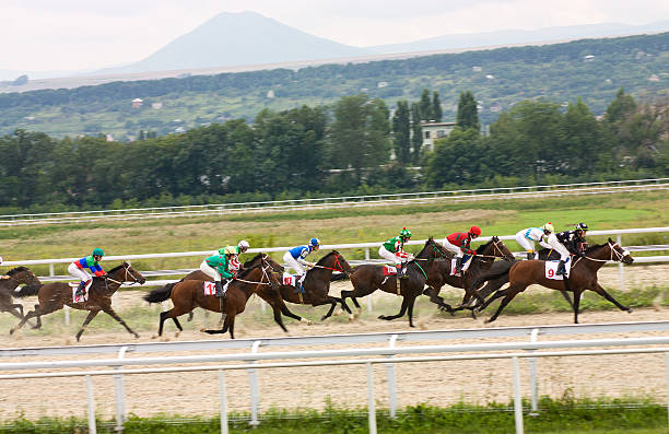 corrida de cavalos - flat racing imagens e fotografias de stock