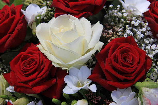 istock red and white mixed flower arrangement 185638385