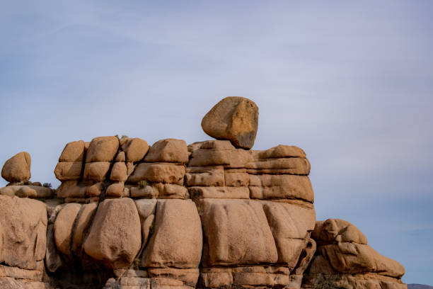 formation rocheuse, parc national de joshua tree - californie près de twentynine palms, californie - beautiful tree day rock photos et images de collection