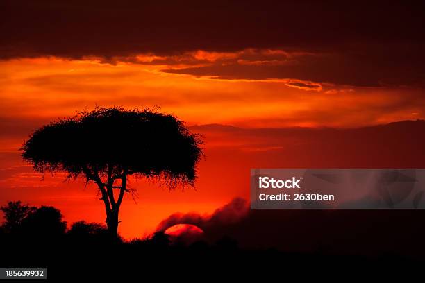 Гореть Закате — стоковые фотографии и другие картинки Закат солнца - Закат солнца, Зимбабве, Анализ крови