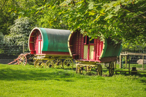 A pair of horse-drawn gypsy caravans in a field under the trees. Located in West Ireland.