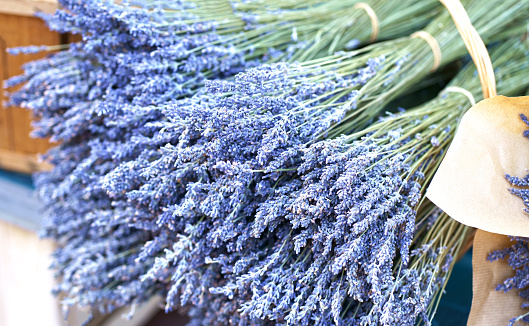 Nice. French market. Close up view of dried lavender flowers with bracts. Light purple colour. Pattern of small natural violet elements. Aromatic mediterranean product.