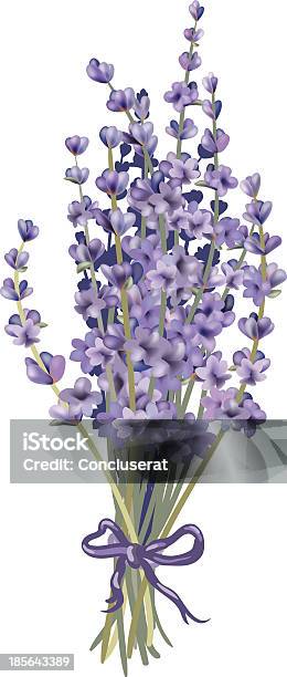 Lavender Bouquet Stock Illustration - Download Image Now - Bouquet, Bunch of Flowers, Color Image