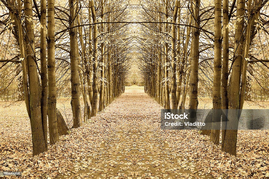 Bellissimo autunno parco - Foto stock royalty-free di Acero