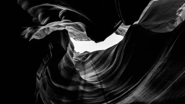istock Elegant Ebony: A Sophisticated Black Art Wallpaper Design 1856478316