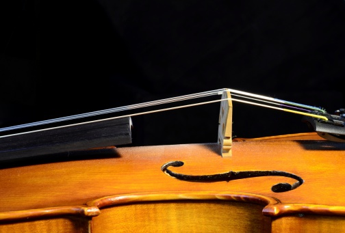 Detail of the bridge of a violin viewed from the side filling the bottom third of a horizontal frame on black background