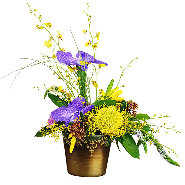 부케 메트로폴리스 등이 in 어둡습니다 꽃병 흰색 바탕에 흰색 배경. - gladiolus bouquet vase purple 뉴스 사진 이미지