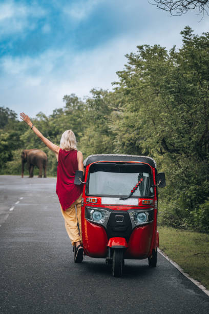 istock Encountering a wild elephant while driving a tuk-tuk in Sri Lanka. 1856544689