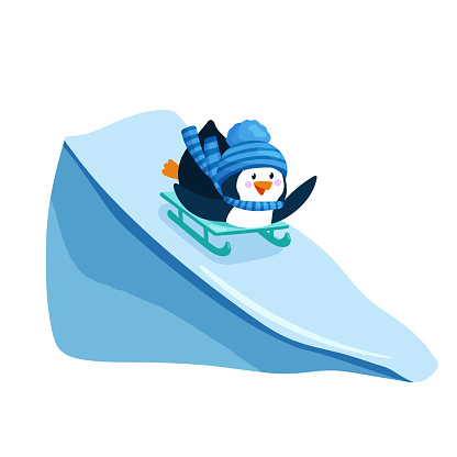 Cute penguin in hat and scarf sledding down mountain. Childish hand drawn vector character isolated on white background.