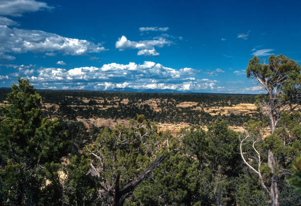 istock Mesa Verde NP - Green Mesa - 1990 1856564943