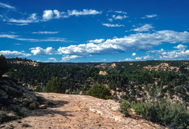 istock Mesa Verde NP - Canyon in the Mesa - 1990 1856566500