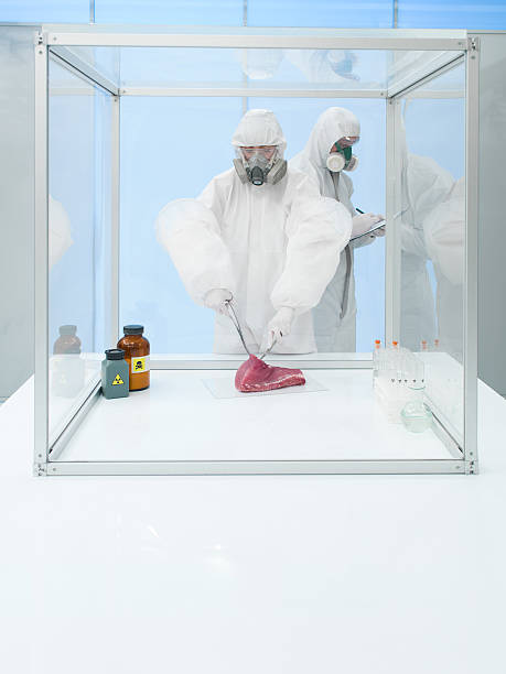 istock experimenting on raw meat in sterile chamber 185656763