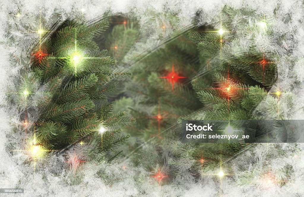 Рождественские деревьев - Стоковые фото Ёлочная ветка роялти-фри