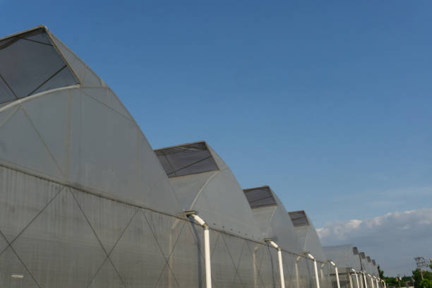 istock greenhouse with sky background 1856607937