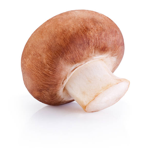 istock One field mushroom isolated on white background 185663988