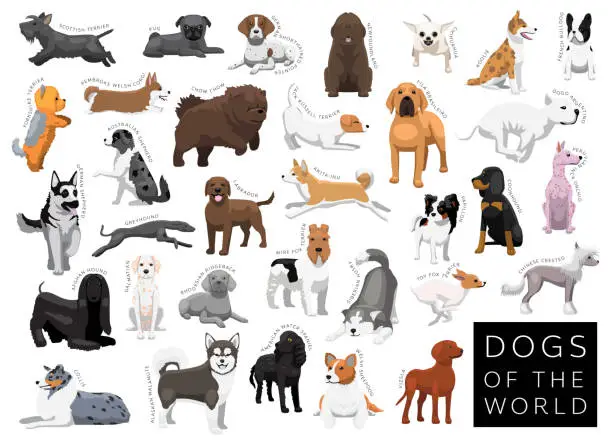 Vector illustration of Dogs of the World Set Cartoon Vector Character