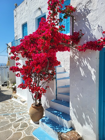 Summer in Cyclade islands, streetview of old villages on the islands, cute, picturesque, greek vibe