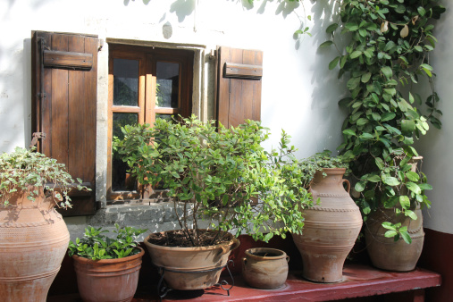 monastery chapel surrounded by plants in clay pots.
