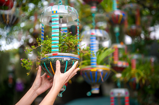 In a close-up view, a woman creatively uses a recycled water bottle as a planter, showcasing a sustainable and eco-friendly approach to gardening.