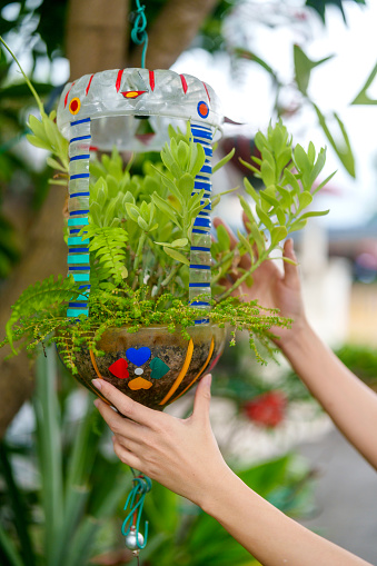 In a close-up view, a woman creatively uses a recycled water bottle as a planter, showcasing a sustainable and eco-friendly approach to gardening.