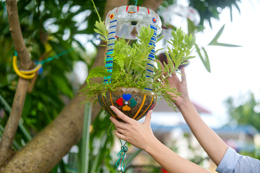 In a close-up view, a woman creatively uses a recycled water bottle as a planter, showcasing a sustainable and eco-friendly approach to gardening.