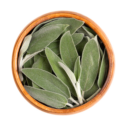 Fresh sage leaves, in a wooden bowl. Common sage, Salvia officinalis, a grayish green herb with velvety leaves. Used as spice, medicinal plant, and for essential sage oil. Close-up and isolated. Photo