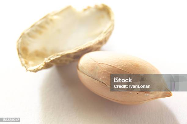 Das Erdnuss Stockfoto und mehr Bilder von Bohne - Bohne, Einzelner Gegenstand, Erdnuss